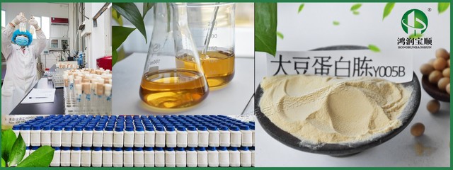鸿润宝顺大豆蛋白胨 一款高效保健食品的全面解读