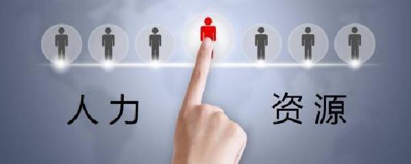 人力资源服务与保健食品 两个领域的概述与关联